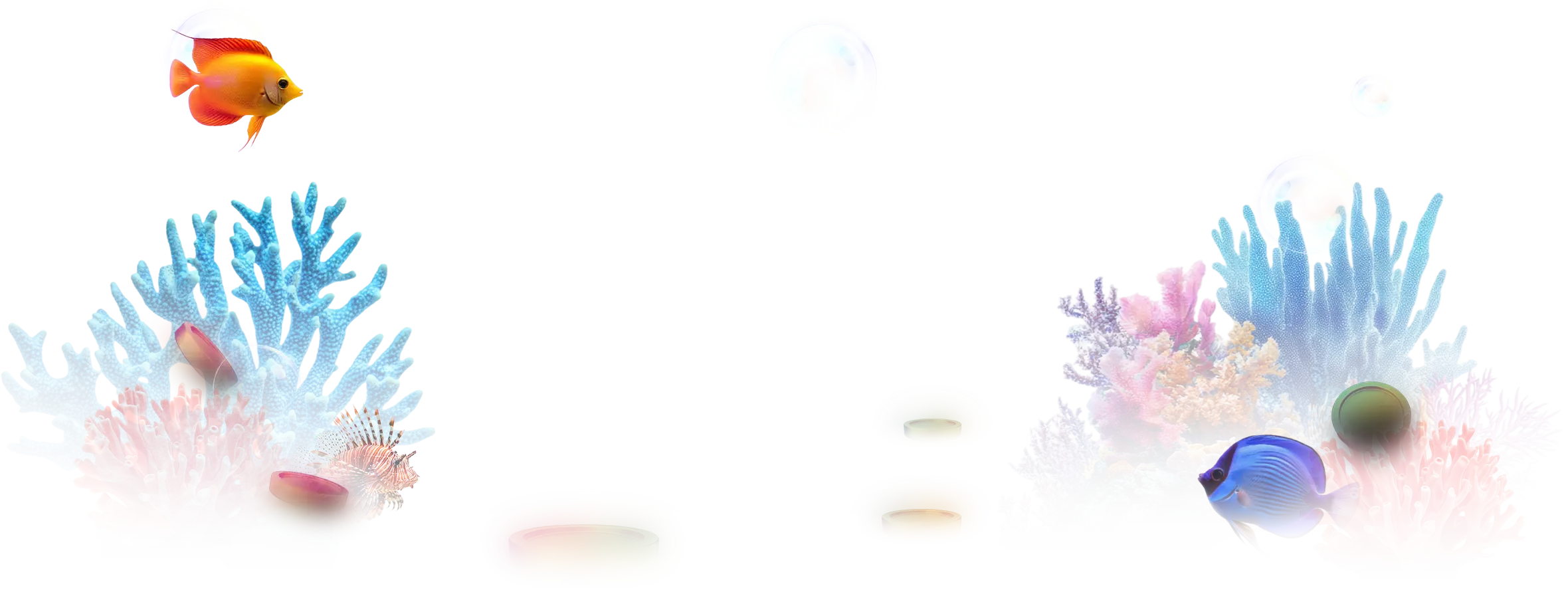 Banner Decoration